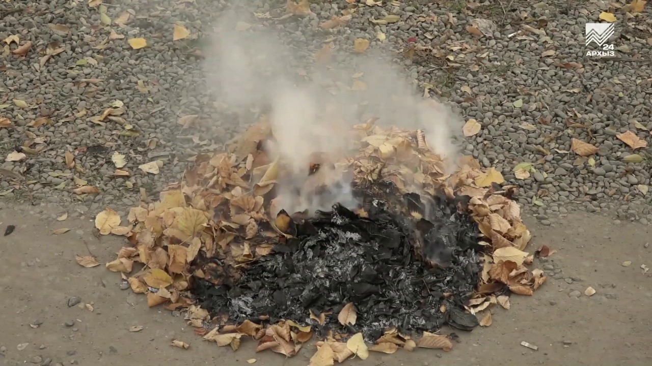 Гниение горение. Сожженный лист. Горение листвы. Сжигание листвы. Сжигание мусора и листьев.