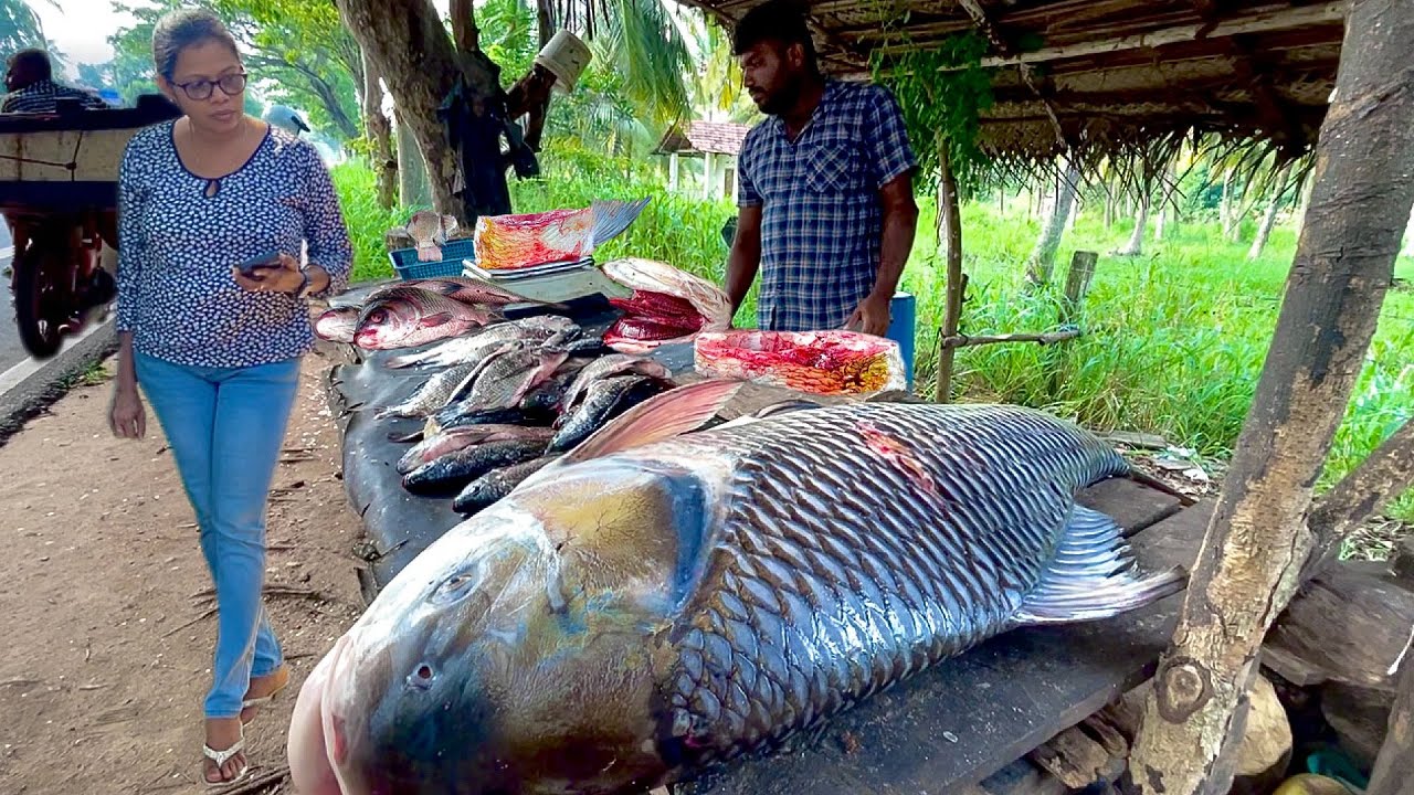 You Won’t Believe How This Villagers Handle a MASSIVE Fish Butchering Day!