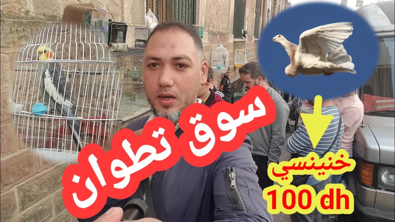 سوق أسبوعي بتطوان لبيع طيور و الحمام تريخ 2022/ 10 /23 🤔🤔 اثمن مناسب