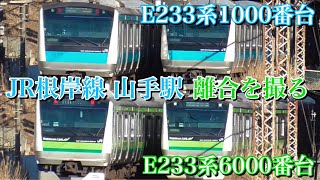 【E233系1000番台・6000番台】JR京浜東北根岸線山手駅で離合を撮る 〜E233系6000番台は横浜線から直通〜