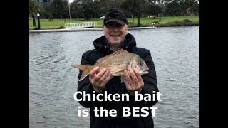 Fishing Maribyrnong river - Catching Pinkies on Chicken screenshot 3