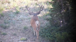 Taker Bucks Found! - MonsterMuleys.com