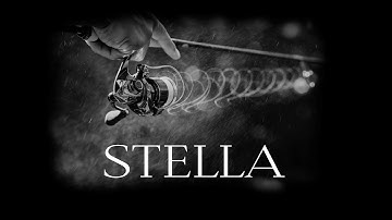 INFINITE EVOLUTION: THE NEW STELLA FK