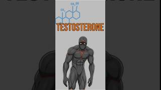 Do This To Raise Testosterone Naturally