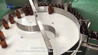 Celebrity E Liquid Filling And Capping Machine(MIC E40 Automatic Small Bottle Glass Bottle Filling ) Net Worth