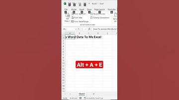 Ms Word Text Convert to Excel in Just Sec 😱🔥 #excel #viral #tipsandtricks