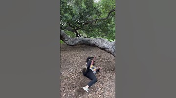 Thumbnail of Are you having any fun?