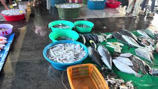 PANDAWAN FISH PORT - Mercedes, Camarines Norte Walking Tour | WALKING TOUR PINAS