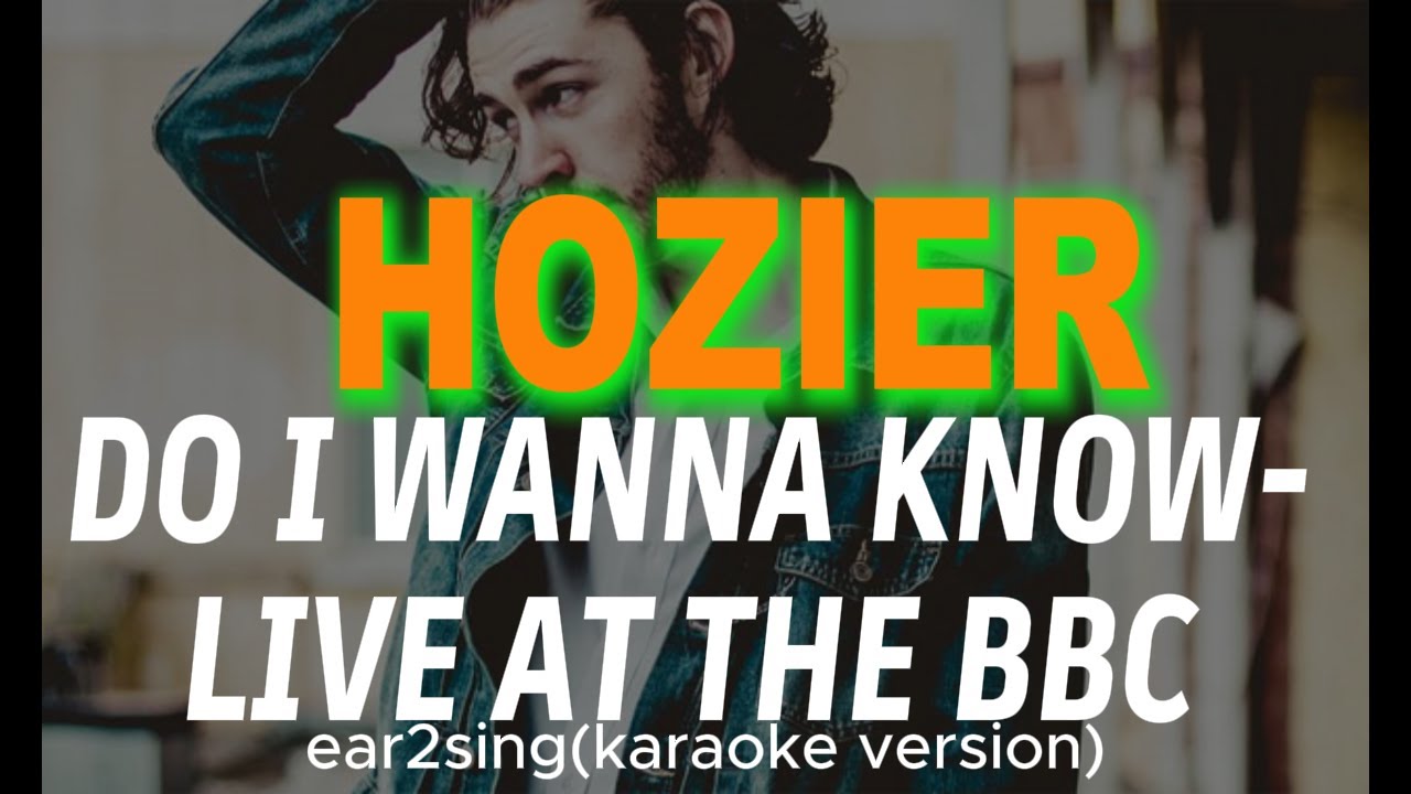 hozier do i wanna know