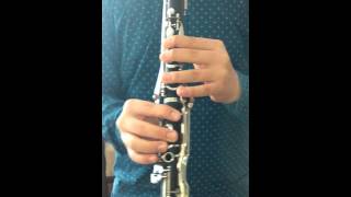 Adaletsiz Seçim (Klarnet Yakın Çekim 2016)