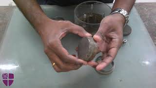 Consolidation (Oedometer) tests for soils.