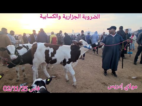 الضروبة الجزارية والكسابية مباشرة من فاس بنسودة السوق عامر ماشاء الله الاشتراك والبرطاج 