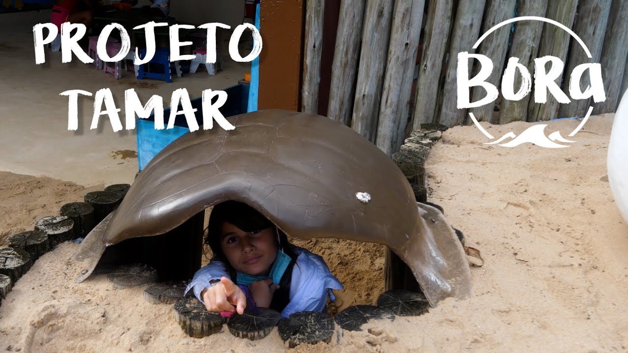 CONHECENDO O PROJETO TAMAR! | Bora no Brasil #23