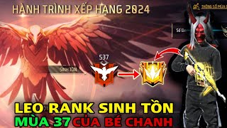 [Free Fire] Hành Trình Xếp Hạng Sinh Tồn 2024 Của Bé Chanh, Comeback Từ Trên Núi Xuống Và Cái Kết