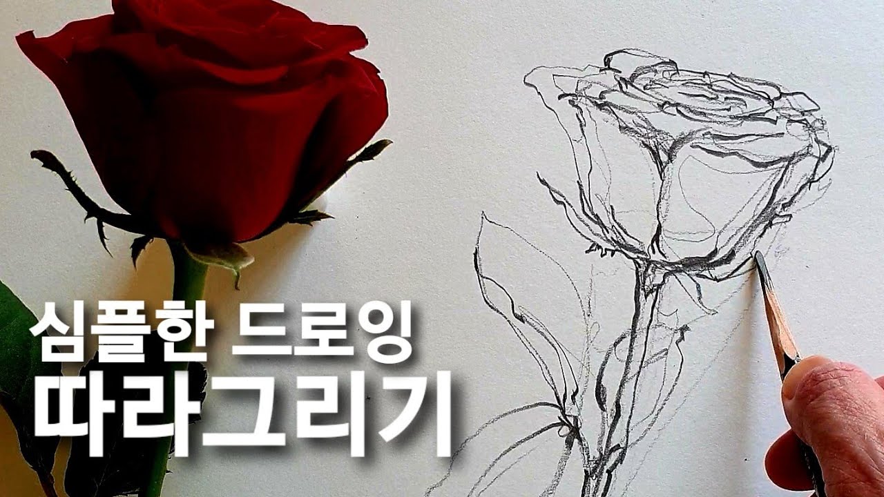 심플한 장미 드로잉 - YouTube