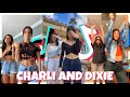 Charli and Dixie D’Amelio TikTok Compilation