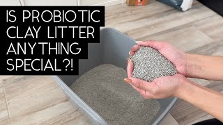 BOXIECAT PRO (BOXIEPRO) LITTER REVIEW | SVEN AND ROBBIE