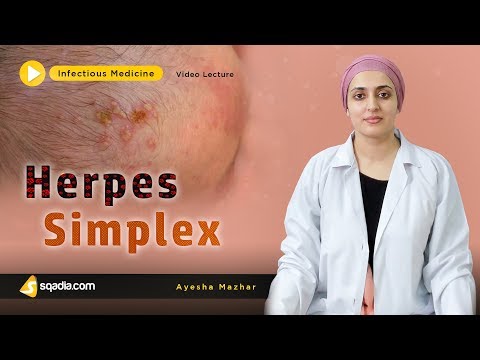 Video: Anal Herpes: Symptomer, Behandling, Diagnose Og Mer