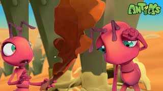 💭 Brain Power Games ✨ Dino & Animal Playground screenshot 2