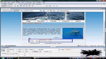Cara Membuat Website dengan Dreamweaver CS3 part 12 - Penggunaan Layer