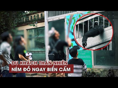 Video Du khách thản nhiên ném đồ ngay biển cấm, chuồng thú... - youtube