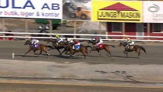 Vidéo de la course PMU PRIX CANADIEN D'AM