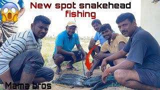 Amazing snakehead fishing spot ఈ కర్రె కప్పా చేపలు మస్తు పడుతుంది మామ bros