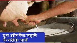 गाय का दूध बढ़ाने के लिए क्या करना चाहिएय || भैंस का दूध बढ़ाने के उपाय||gaye ka doodh kaise badhaye screenshot 3