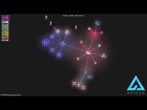 APIOAK Development History | Gource Git Visualization