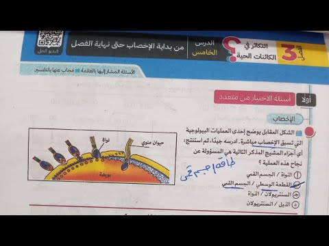 حل من كتاب التفوق تابع التكاثر في الإنسان احياء تالته ثانوى 2026