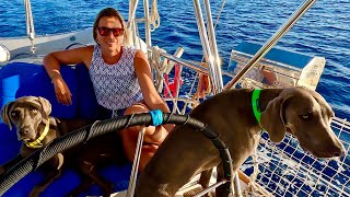 We are the Captains Now: Taking Control of Sailing Duties - Ep. 234