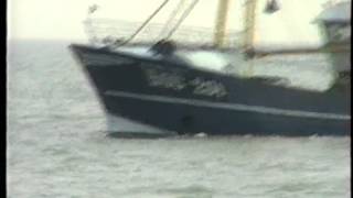 Download Lagu BOU 201 EN Z 548 OP ZEE IN 1993 MP3