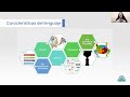 Webinar. Servidor de Tecnología: Un camino eficiente de la atención a la gestión.