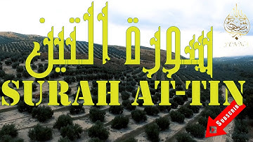 Surah At-Tin Mohamed El Menchaoui 🌿 سورة التين تلاوة هادئة محمد المنشاوي
