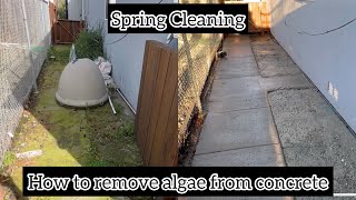 Spring cleaning. How to remove green algae, moss, and dirt from concrete.