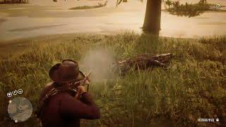 Red Dead Redemption 2 鱷魚飄移