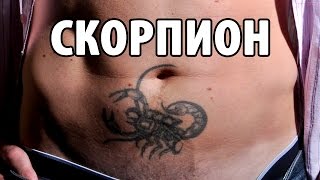 Тату скорпион - значение для девушек и мужчин. Эскизы и фото.