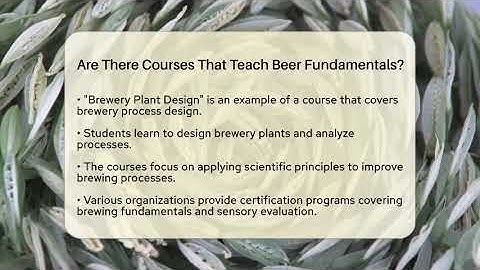 Are There Courses That Teach Beer Fundamentals? | The Pint Guy