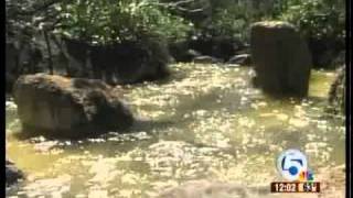 South Florida residents follow news from Japan
