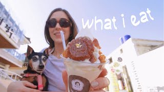 What I Eat in a Day🍦delicious korean food + dessert in gyeongju