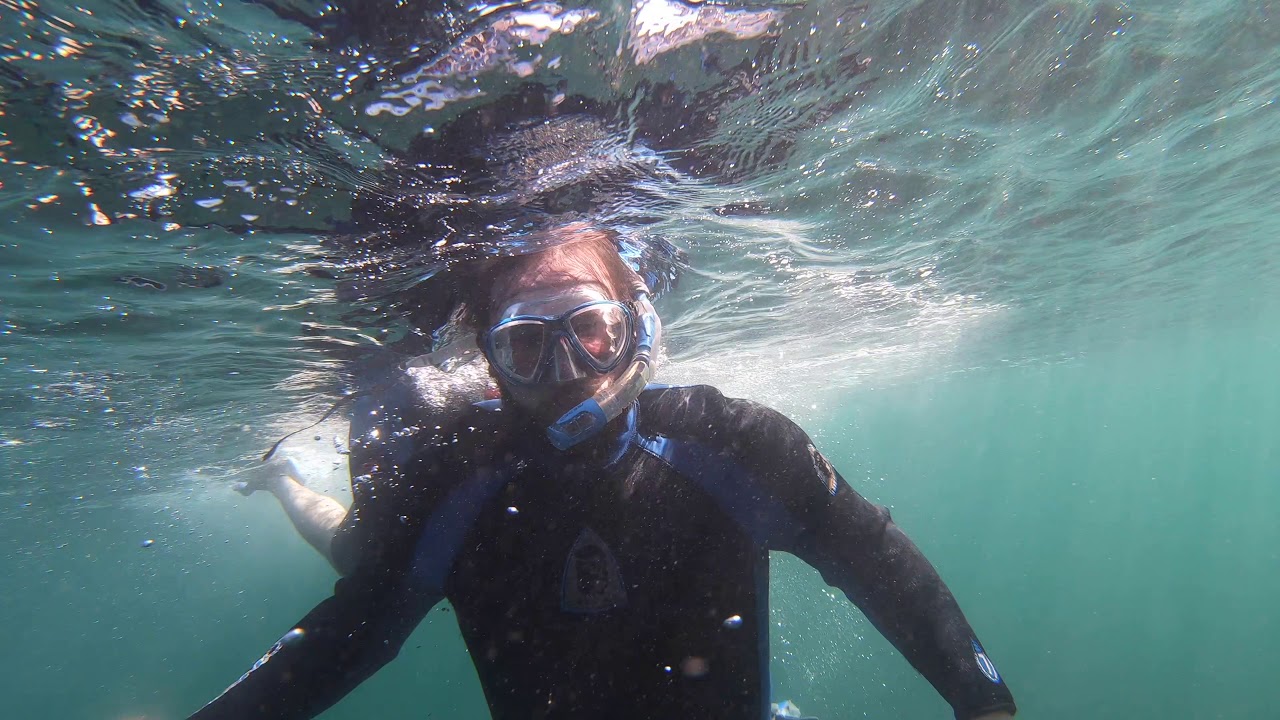 Taylor and Daniel's 🐠 La Jolla Cove Snorkel Tour | Finding ...