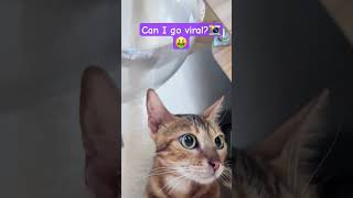 Can I Go Viral ?
