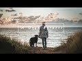A Dogs Purpose  - November days on Sylt with the Sony a6000