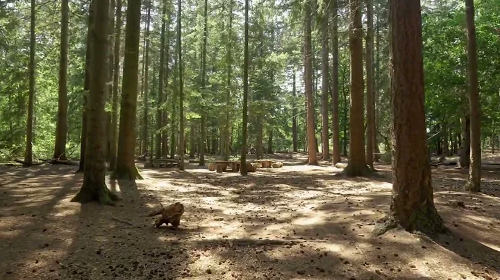 copy 492B57A1 E908 4D1C A783 B6243C0F3302