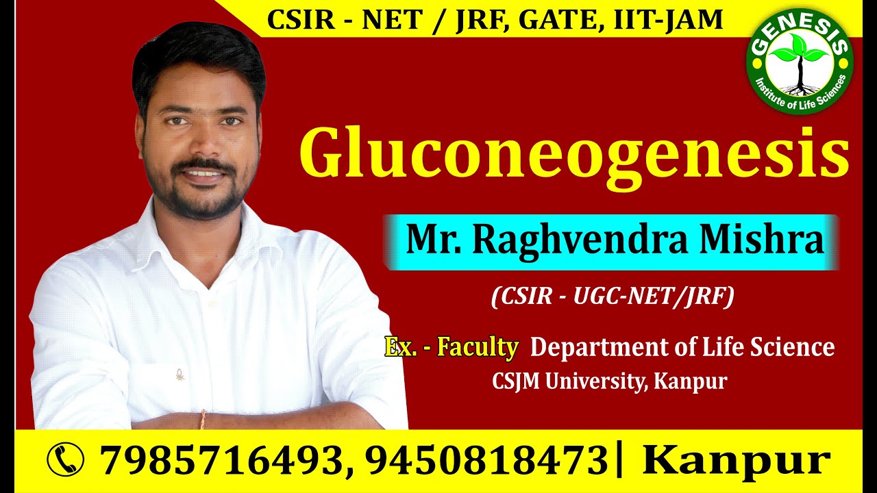 GLUCONEOGENESIS- (METABOLISM) CSIR UGC JRF NET LIFE SCIENCES/DBT/ICMR/GATE
