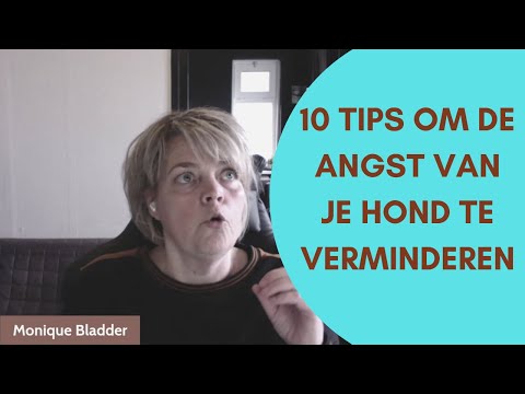 10 Tips om de angst van je hond te verminderen