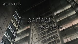 Perfect vocals only/acapella/no music (Ali Gatie)