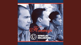 Video thumbnail of "Estrellas Vallenatas - Obsesión (feat. Ramiro Better)"