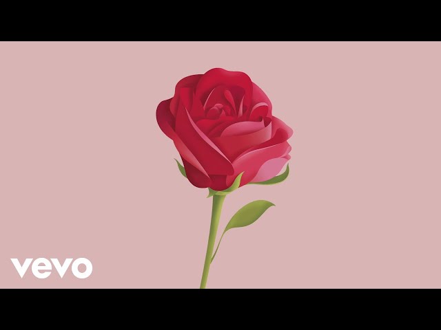 Leon Bridges - Mrs