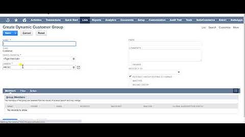 NetSuite dynamic Groups | NetSuite Solution Provider | NetSuite Implementation | NetSuite tutorial